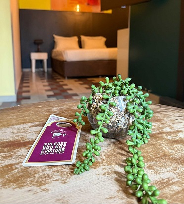 ���� ����� �� ���� ����� ����� ����``�